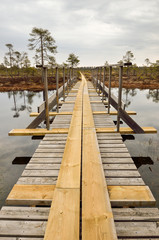 New wooden hiking bridge on hiking trail in marshland area. - 159288666