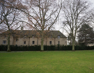 Obraz premium house with lawn