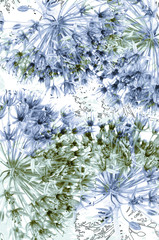 Gentle floral background for design