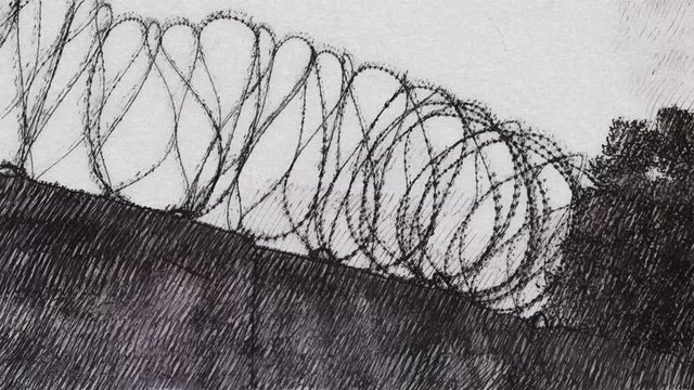 Barbed wire on concrete wall.