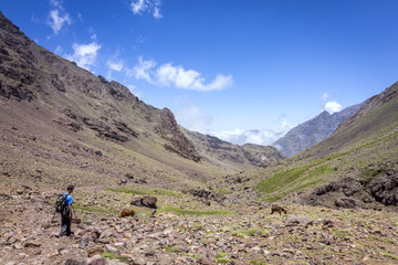 Fototapeta premium Toubkal national park, the peak whit 4,167m is the highest in the Atlas mountains and North Africa, trekking trail landscape panoramic view.