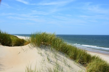 Sand Düne am Meer mit Gras