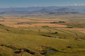 Fototapeta na wymiar Drakensberg Fields South Africa