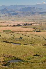 Fototapeta premium Drakensberg Fields South Africa