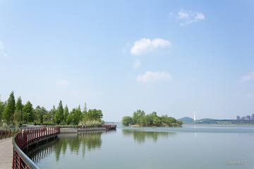 Fototapeta premium 都市