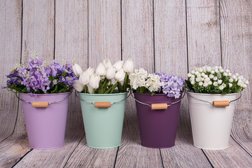Flores variadas en cubos de diferentes colores.