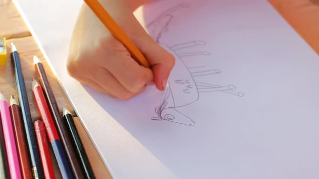 Kid drawing a horse with colored pencils