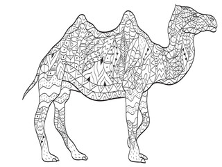 coloring camel animal for adults