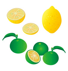 柑橘類イラスト（レモン、カボス）