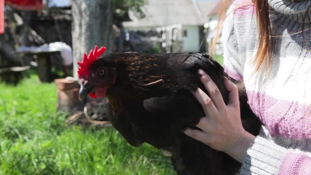 The chicken in the hands. Keeps his head in balance. Stabilizer of the chicken head.