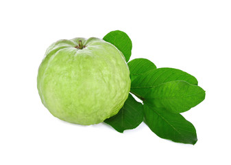 Guava fruit isolated on the white background