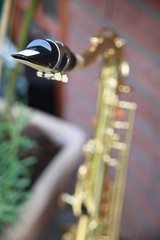 close-up of a saxophone player