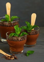 Chocolate peppermint mousse in glasses.