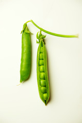 Pea pod and pea seeds on white