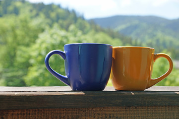A beautiful cup with hot tea stands in front of a beautiful scenery