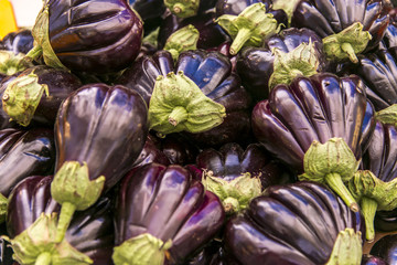 Fototapeta na wymiar Eggplant