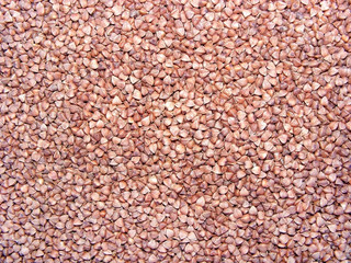 buckwheat groats as background/photography with scene buckwheat croups as texture background
