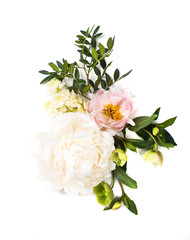 peony flowers arrangement on white background isolated. Festive 