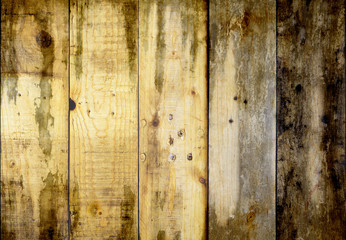 the old wood texture with natural patterns