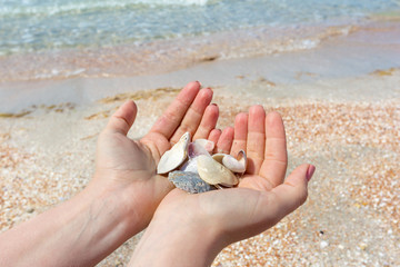 Fototapeta na wymiar Woman´s hand holding a seashell on the beach.