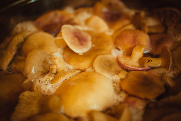 mushrooms cooked in a saucepan close-up