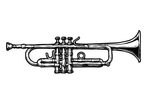 illustration of trumpet