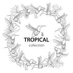 Vector round composition with flying Hummingbird or Colibri and Strelitzia reginae in contour style isolated on white. Outline tropical bird and exotic flower for summer design and coloring page. 