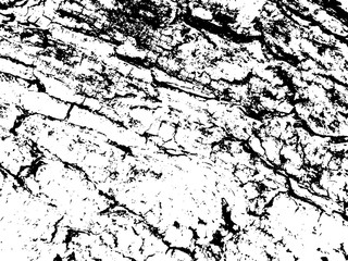 Natural wood bark monochrome vector texture. Obsolete texture of timber board.