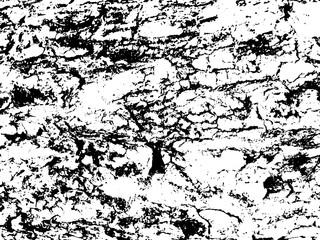 Old wood bark monochrome vector texture. Obsolete texture of timber board.