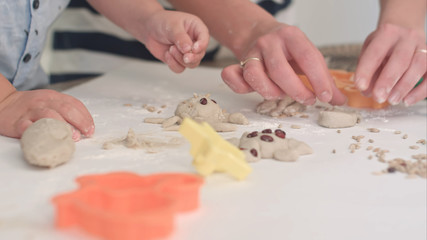 Mother helping little boys to make animal cookies