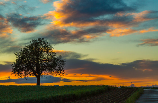 Abendrot auf der Filderebene
