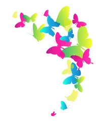 Fototapeta na wymiar beautiful color butterflies,set, isolated on a white