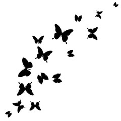 Naklejka na ściany i meble black butterfly, isolated on a white