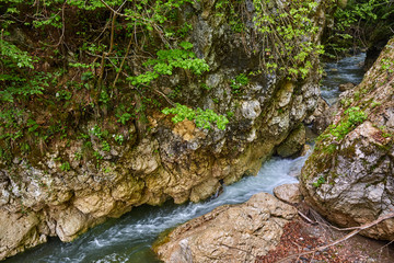 River rapids in the mountain