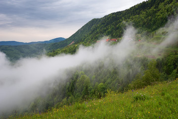 Mountain landscape shortly after spring rain. Slovenian Alps. Forest Road, venerable tree, fog, clouds and peaks. The village of Jamnik Slovenia.