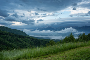 Mountain landscape shortly after spring rain. Slovenian Alps. Forest Road, venerable tree, fog, clouds and peaks. The village of Jamnik Slovenia.