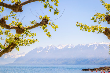 View of Lake Geneva with Frame of Green Trees, Lausanne, Switzerland