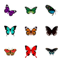 Obraz na płótnie Canvas Realistic Birdwing, Sangaris, Monarch And Other Vector Elements. Set Of Beauty Realistic Symbols Also Includes Julia, Bluewing, Green Objects.
