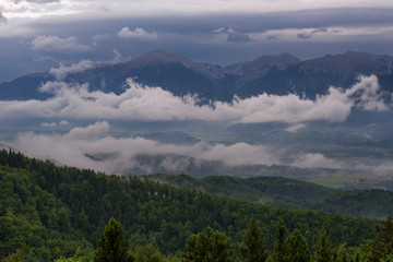 Mountain landscape shortly after spring rain. Slovenian Alps. Forest Road, venerable tree, fog, clouds and peaks. The village of Jamnik Slovenia.