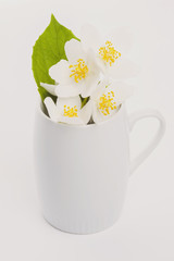 jasmine tea