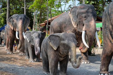 Fototapeta premium Elephant statue at Spirit house, It's a shrine to the spirit that protects the general area of an establishment, usually found in Southeast Asian countries 