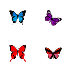 Obraz na płótnie Canvas Realistic Callicore Cynosura, Common Blue, Sangaris And Other Vector Elements. Set Of Moth Realistic Symbols Also Includes Cynosura, Beautiful, Julia Objects.