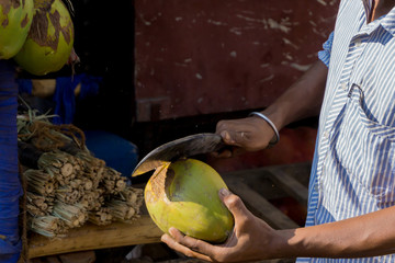 Kokosnuss zum trinken öffnen