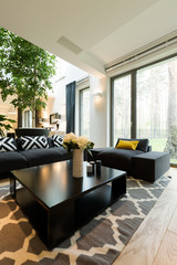 Modern living room with stylish couch