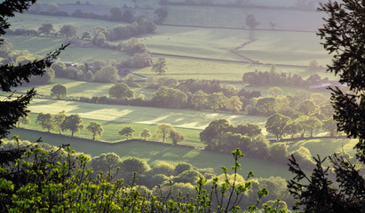 British Countryside Fields in Sunset Light