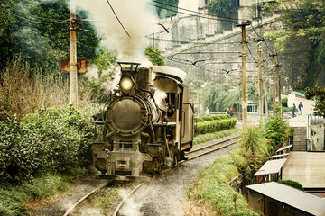 Steam narrow-gauge locomotive.