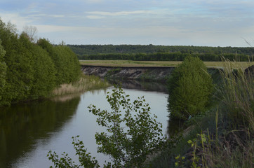 Small river and forest in summer