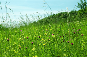Farben des Fr&uuml;hlings