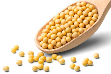 raw soybeans on white, (large depth of field, taken with tilt shift lens)