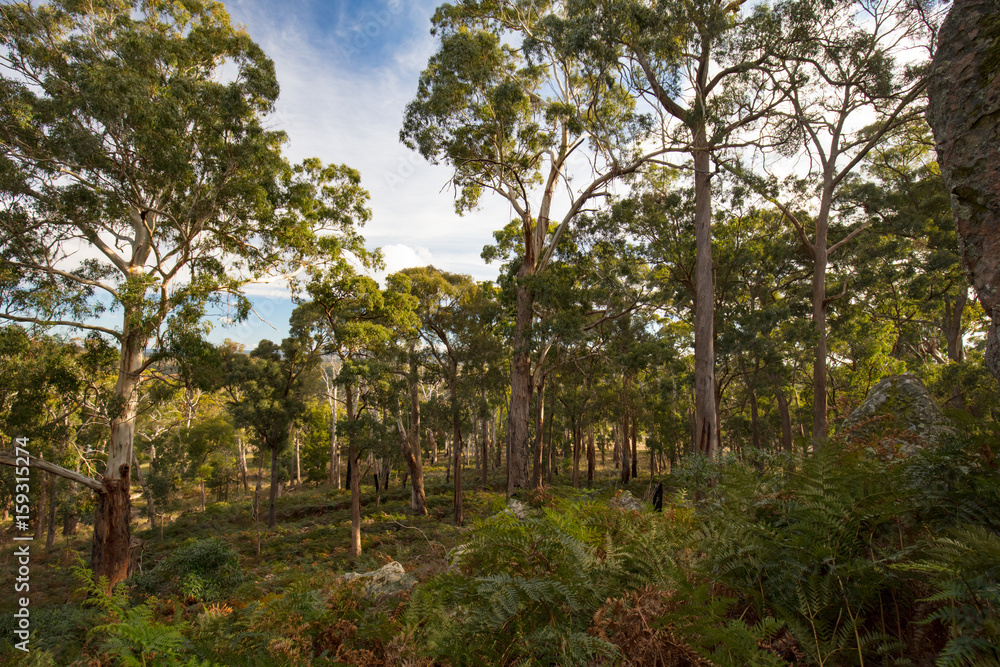 Sticker Hanging Rock in Macedon Ranges